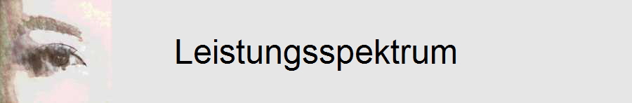 Leistungsspektrum